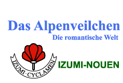 Die Welt Alpenveilchenes