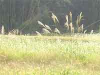 September, 2004